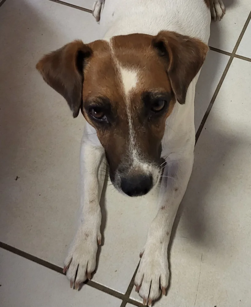 Roxie