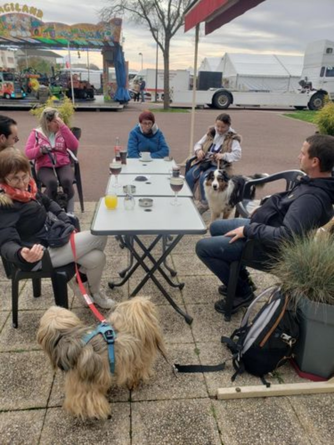 Promenade et socialisation
